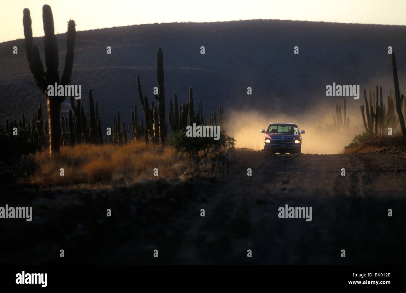 Pick up truck conduite sur route de terre dans le désert . Baja California au Mexique Banque D'Images