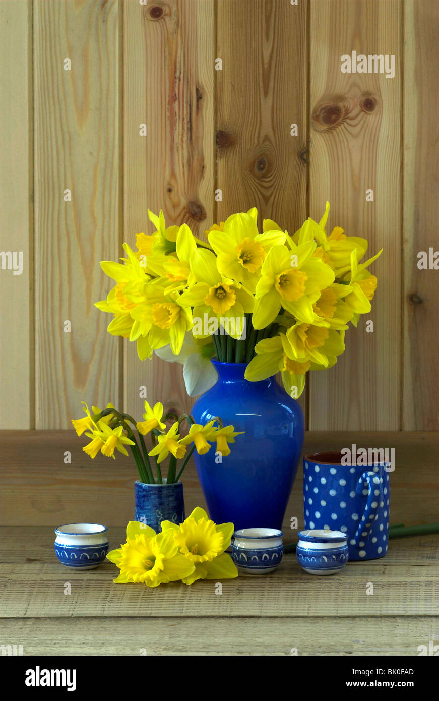 Couper les jonquilles en vase bleu. Mars 2010 Banque D'Images