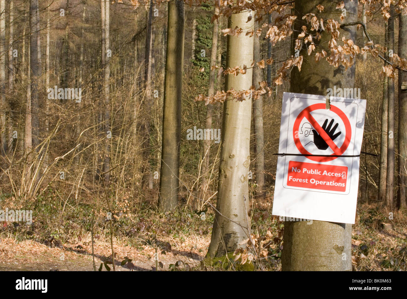 Pas de gestion des forêts l'accès du public à l'exploitation forestière Sign UK Banque D'Images