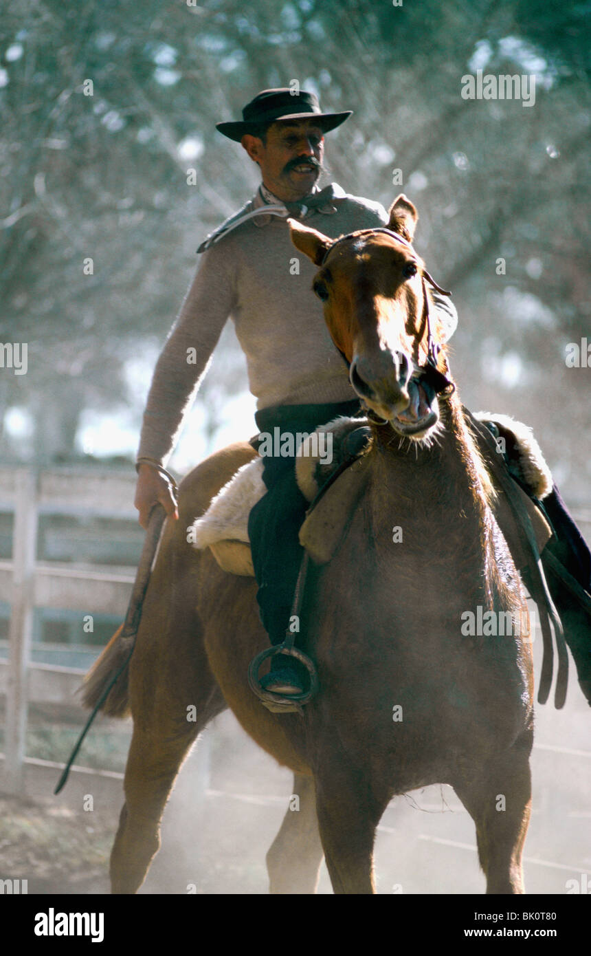 Horse Rider, l'Argentine. Banque D'Images
