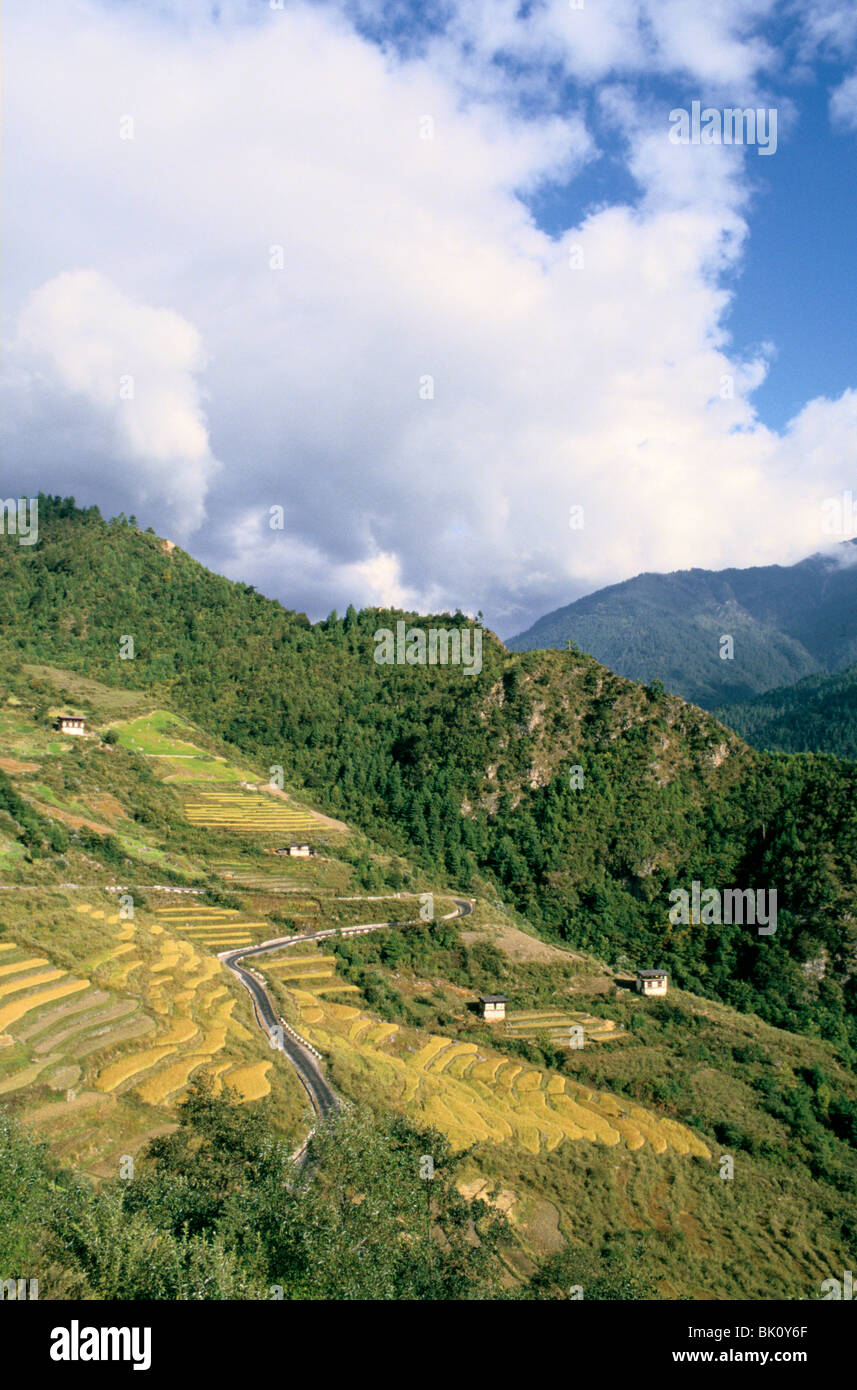 Route de Puntsholing à Paro, Bhoutan. Banque D'Images