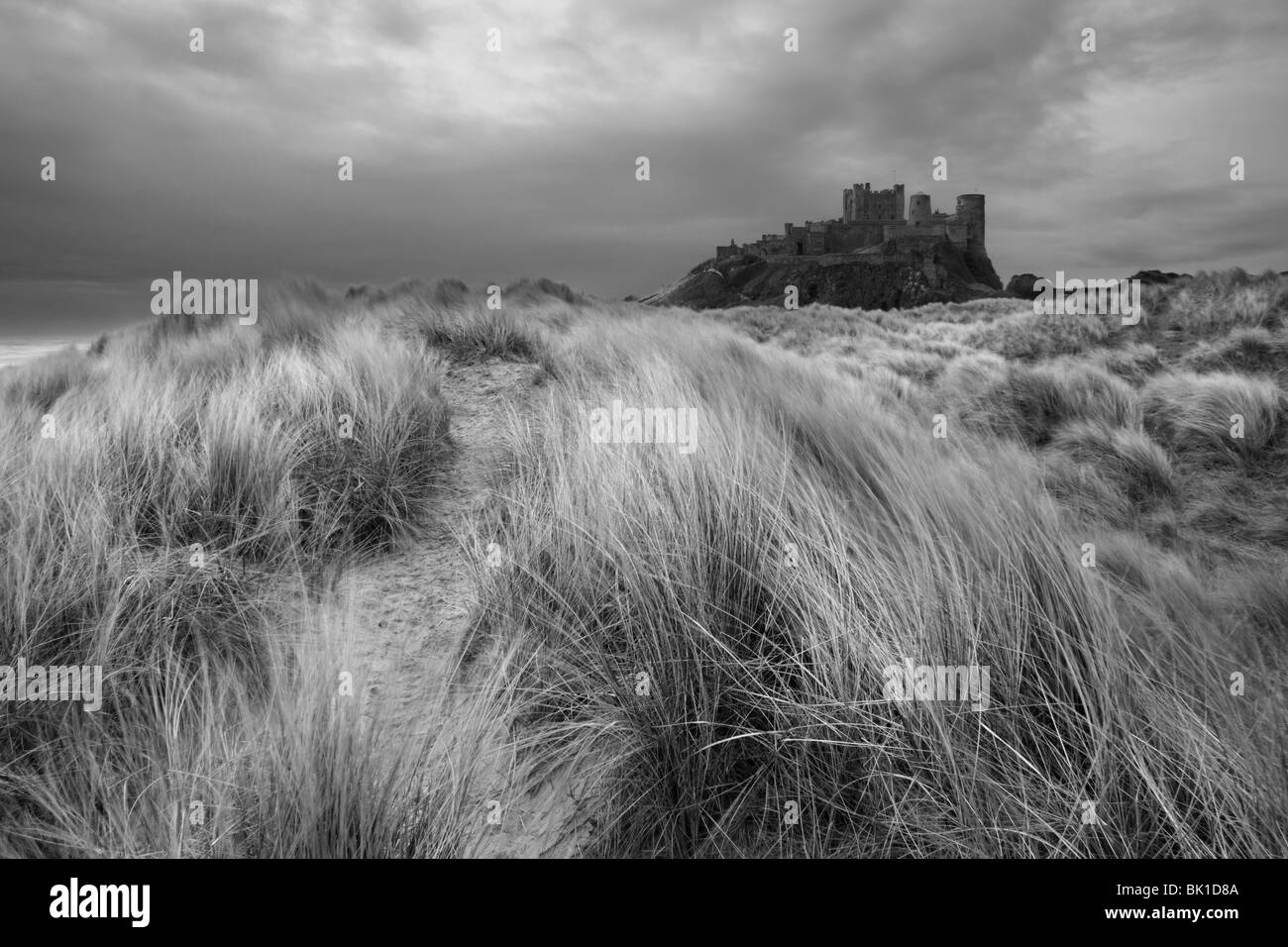 Château de Bamburgh sur la côte de la mer du nord du Northumberland, Angleterre du Nord-Est Banque D'Images