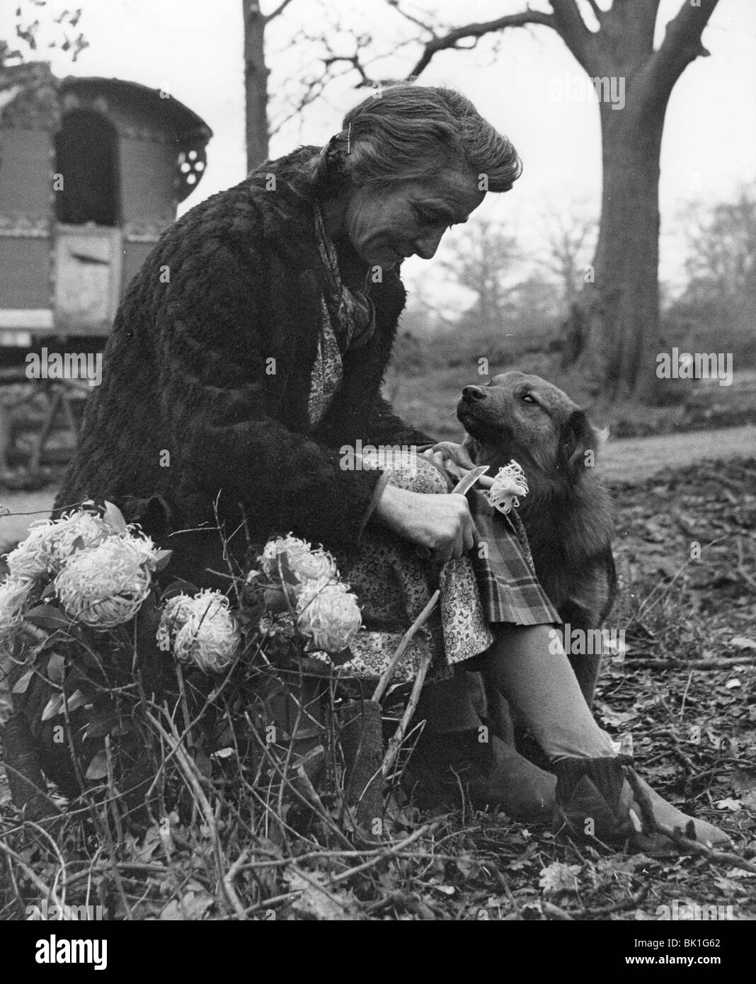 Gypsy Woman with dog, 1960. Banque D'Images