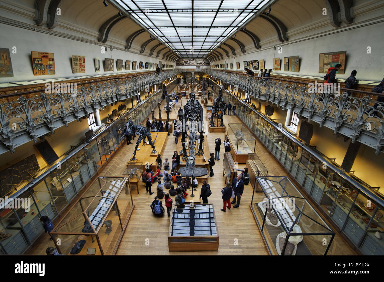 Exposition dans un musée de l'Histoire Naturelle de Paris Banque D'Images