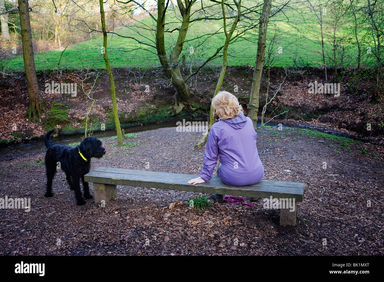 Femme assise sur un banc en bois avec son animal de Labradoodle chien lors d'une balade dans le pays Banque D'Images