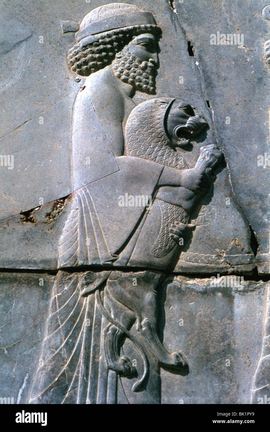 Relief d'un homme tenant un lion cub, Persepolis, Iran Banque D'Images