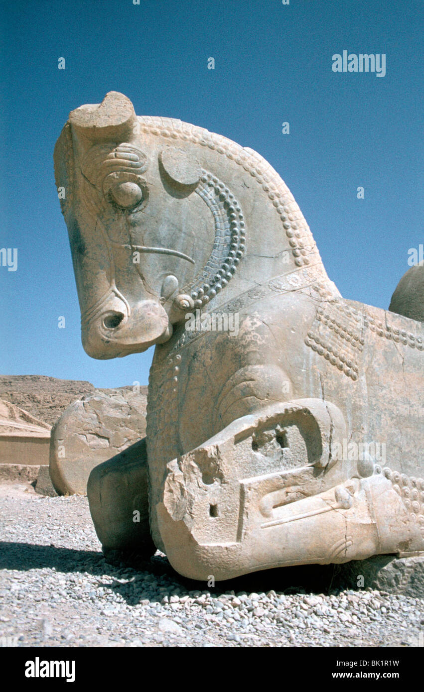 Protomé de cheval, l'Apadana, Persepolis, Iran Banque D'Images