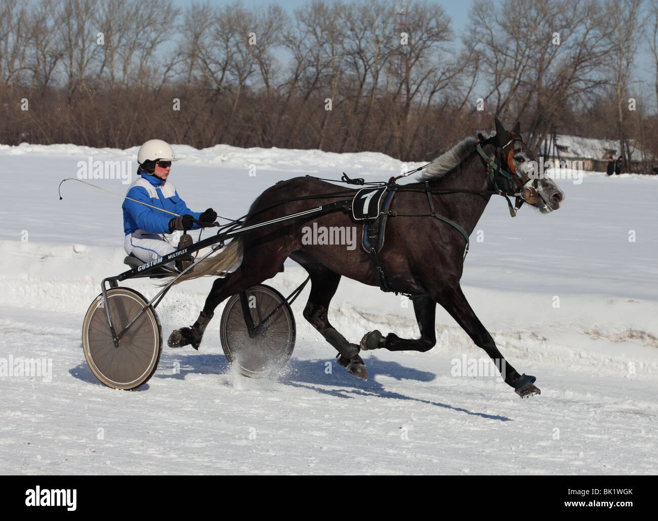 En hiver, les courses de chevaux trotter dans un champ dans l'état de Tambov, en Russie l'hippodrome Banque D'Images