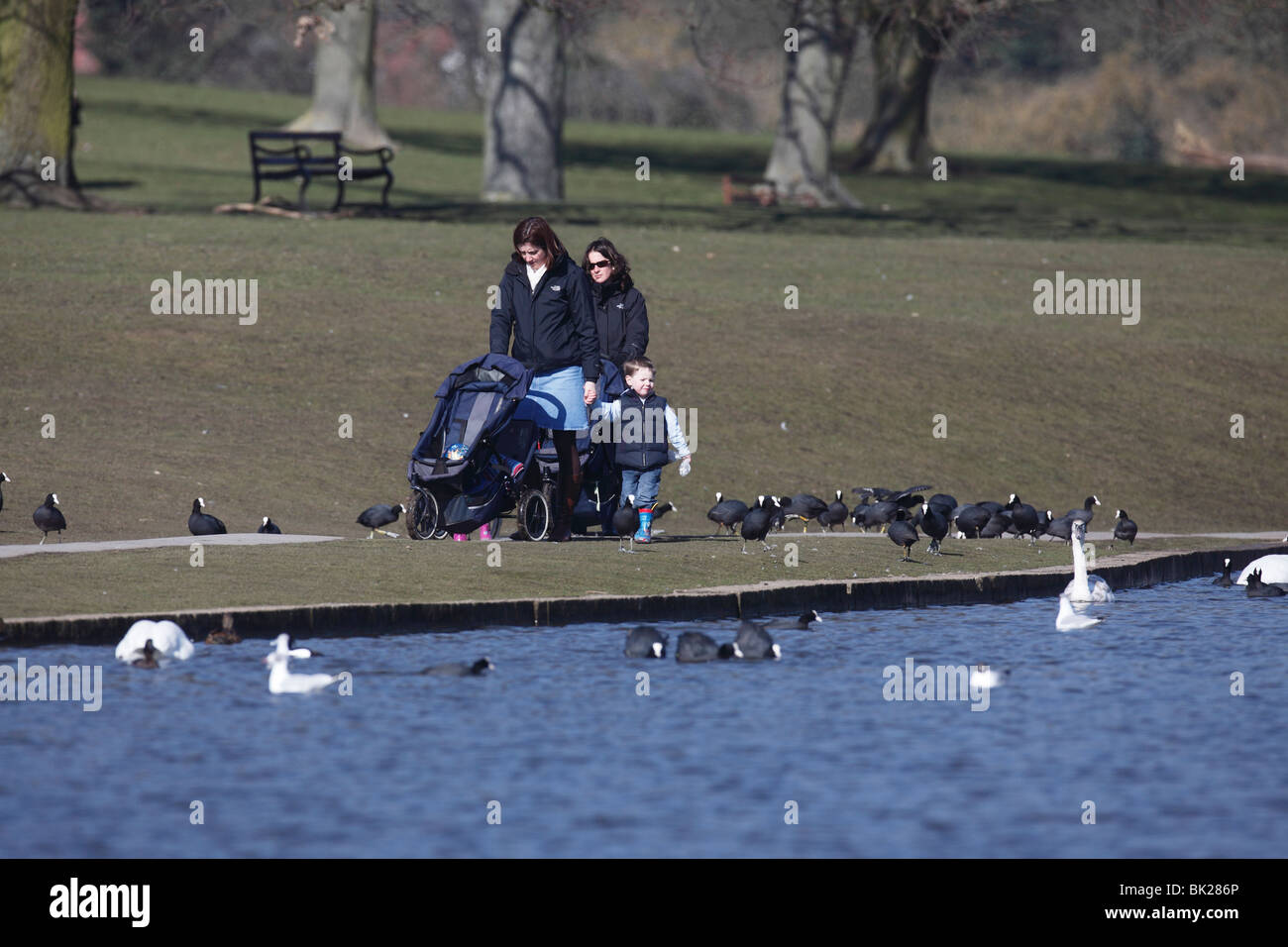 Nourrir les canards à Veruleum Park St Albans Banque D'Images