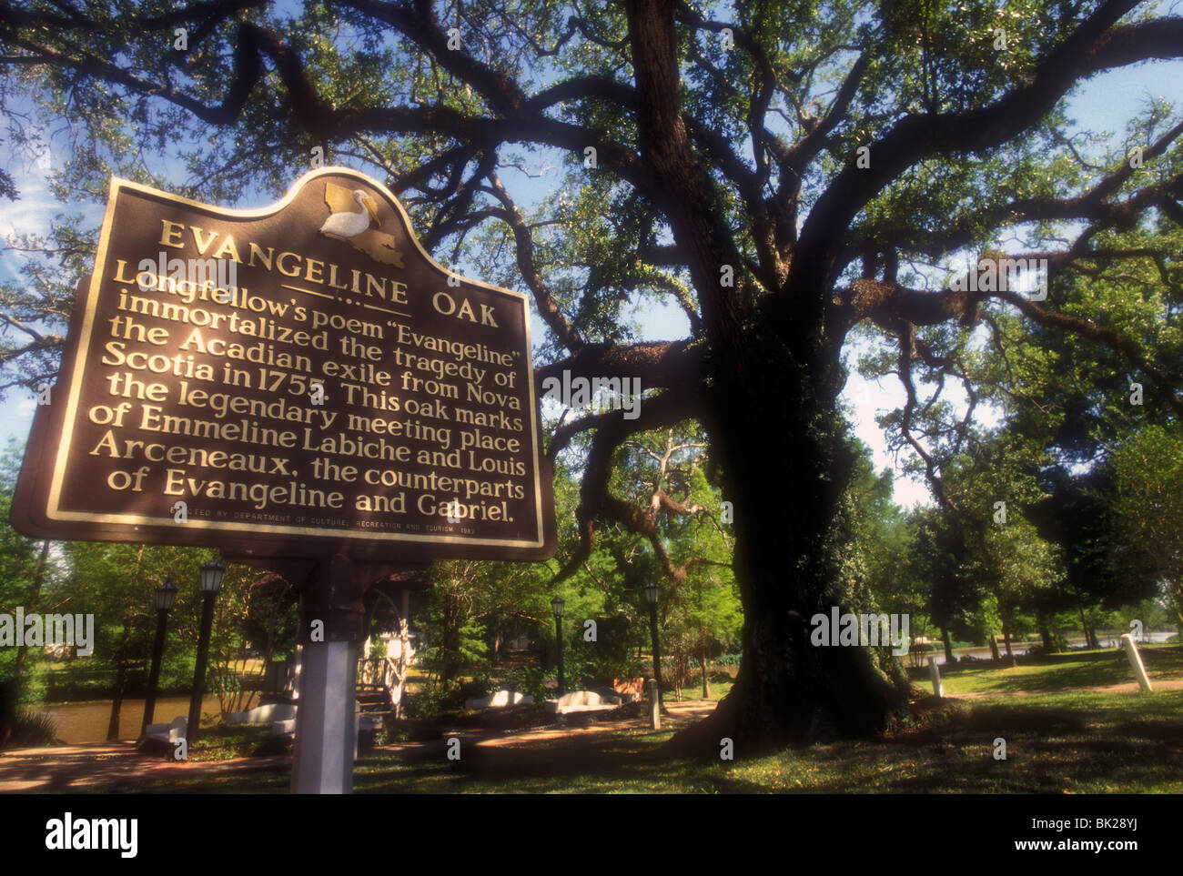 L'Evangeline Oak St Martinville Louisiana mémorial à l'exil des Acadiens de la Nouvelle-Écosse 1755 Banque D'Images