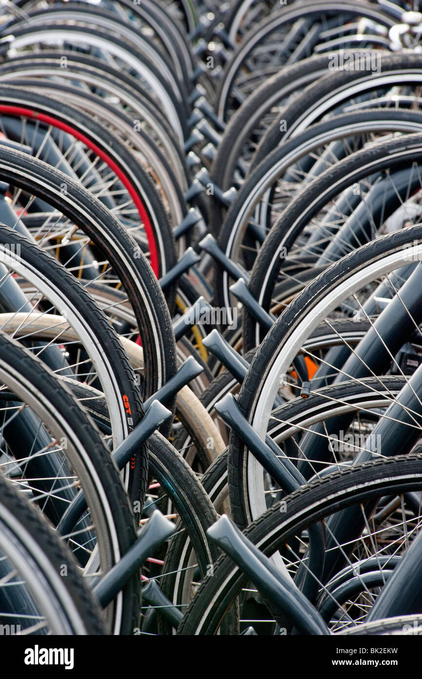 Nombreux vélos stationnés dans le parc public aux Pays-Bas Banque D'Images