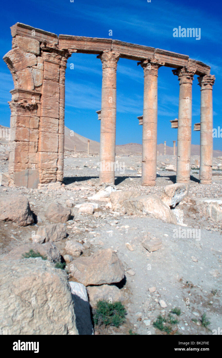 L'Oval Piazza, Palmyre, en Syrie. Banque D'Images