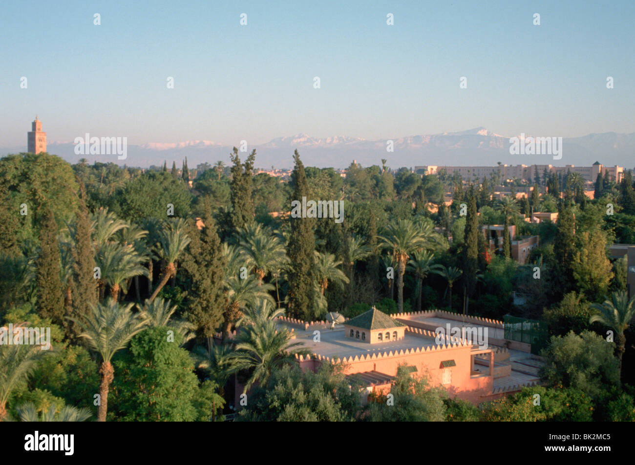 Les Jardins de la koutoubia, Marakesh, Maroc. Banque D'Images