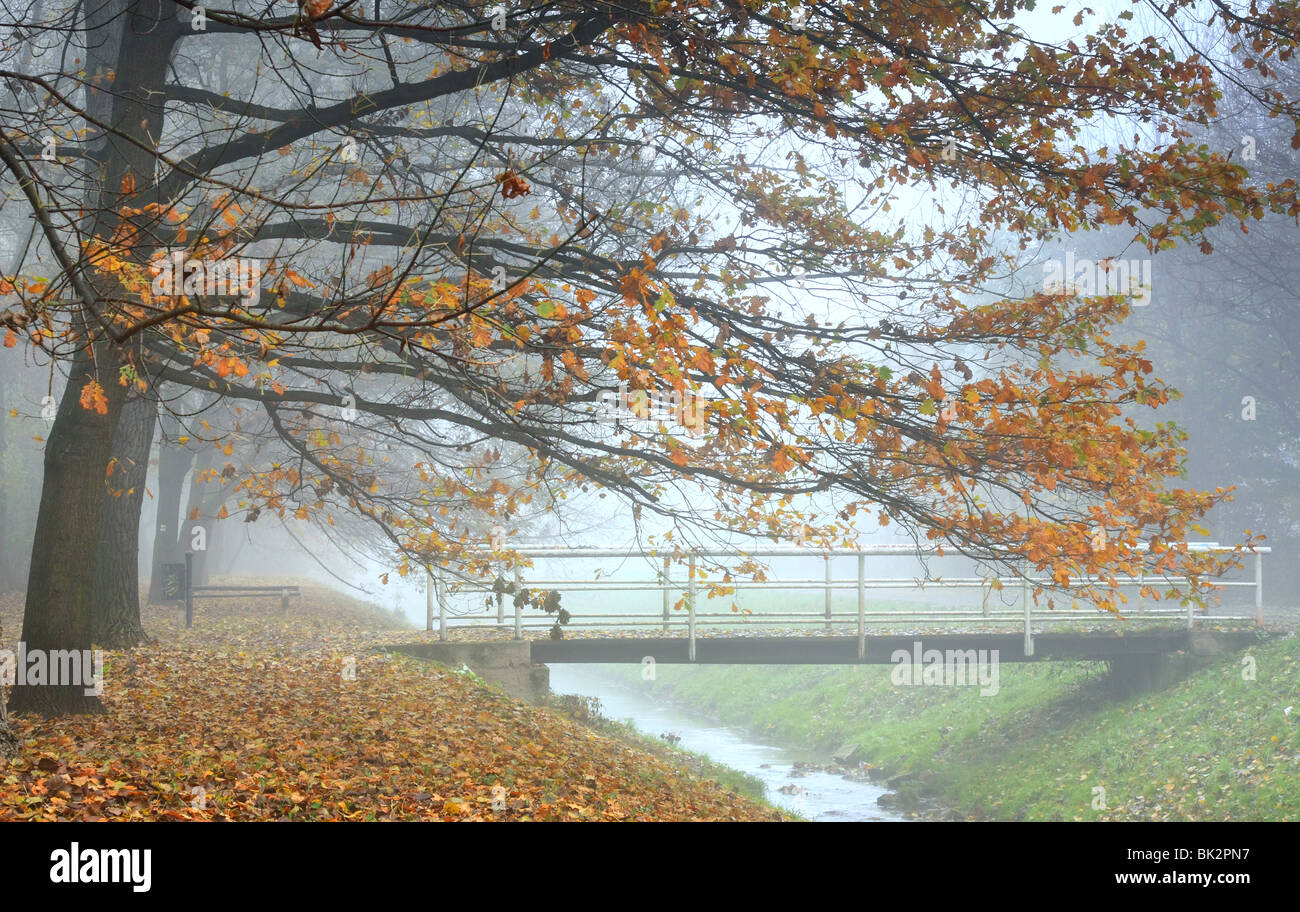 Décor de l'automne avec une passerelle Banque D'Images