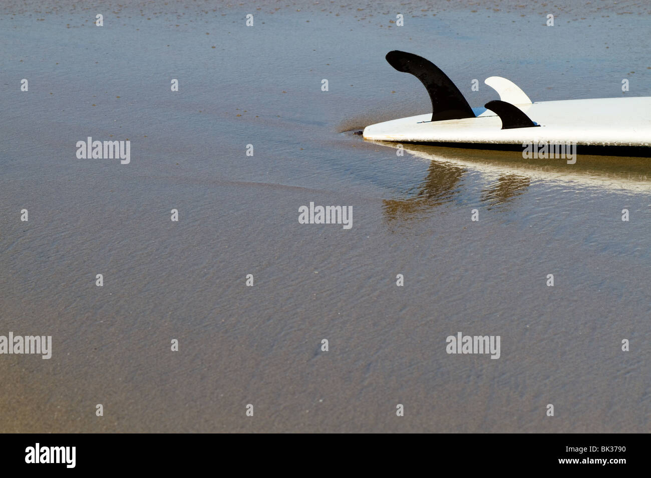 Un surf s'étend sur une plage de sable. Banque D'Images
