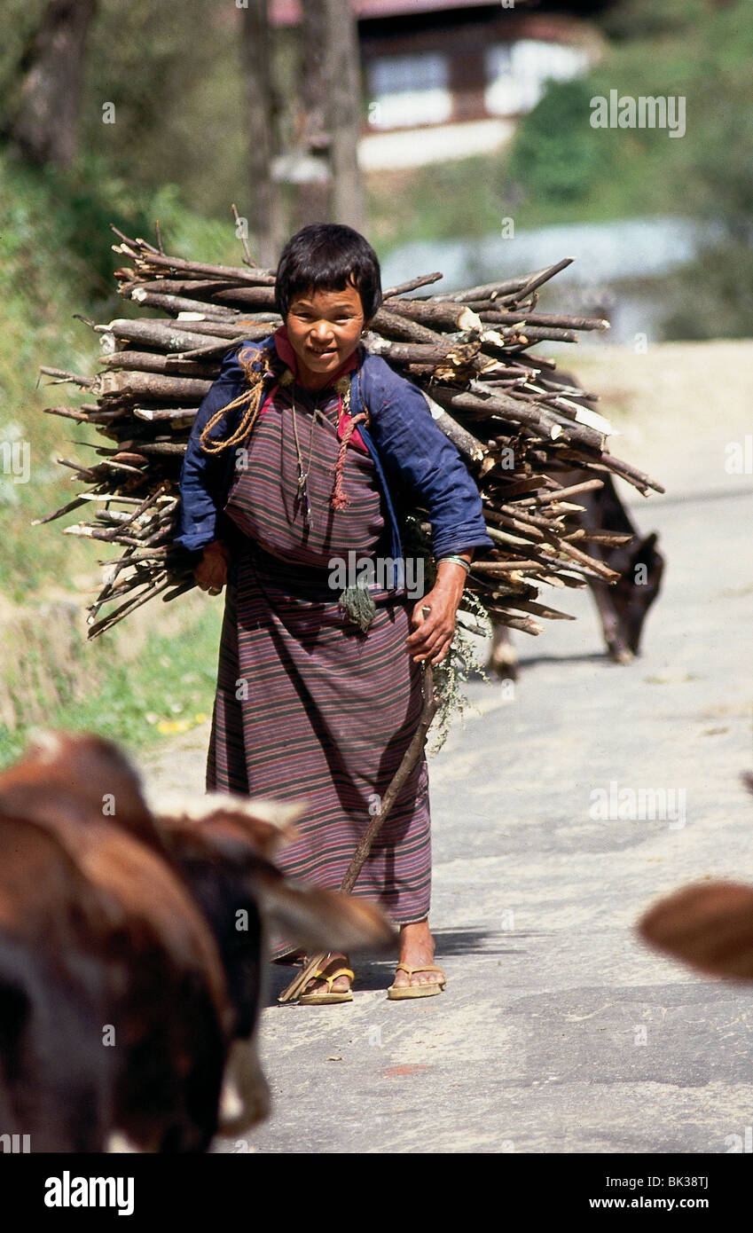 Femme bhoutanais transporter le bois sur son dos, Royaume du Bhoutan Banque D'Images