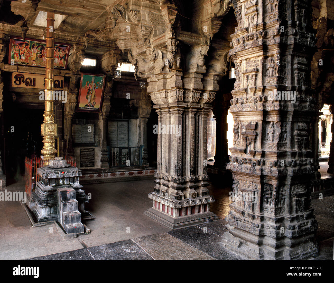 Temple de Chidambaram, Tamil Nadu, Inde, Asie Banque D'Images