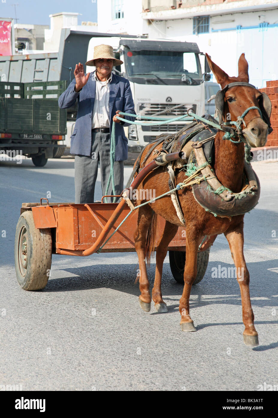 Un vieil homme tunisien forme pendant la conduite de son cheval et panier en Tunisie, l'Afrique du Nord Banque D'Images