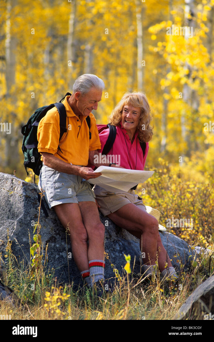 Un couple s'arrête pour examiner la carte lors d'une randonnée à travers un bosquet de trembles dans les montagnes Wasatch de l'Utah du nord. Banque D'Images