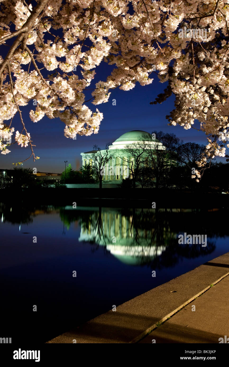 À l'aube du bassin de marée avec blossoming cherry trees et le Jefferson Memorial, Washington DC USA Banque D'Images