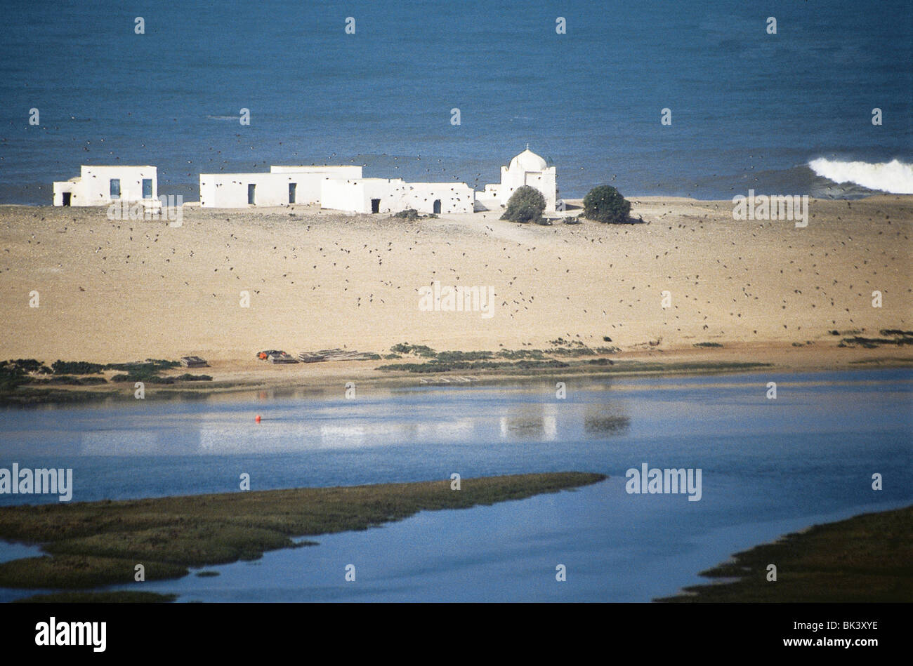 Marché par la mer entre Safi et Casablanca, Maroc Banque D'Images