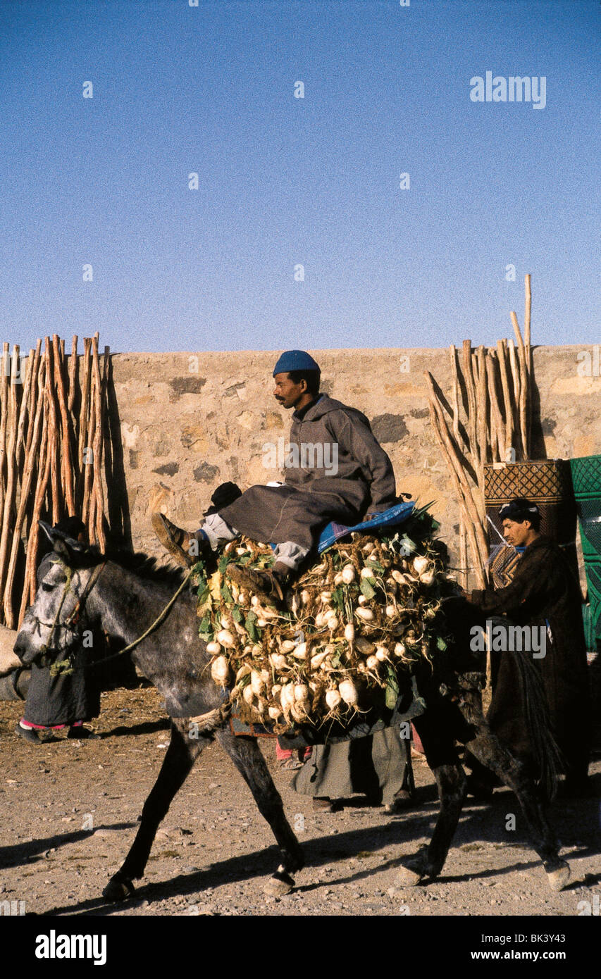 Portrait d'un homme sur un âne transportant des légumes vers le marché dans la province d'Ouarzazate, Zagora, Maroc Banque D'Images