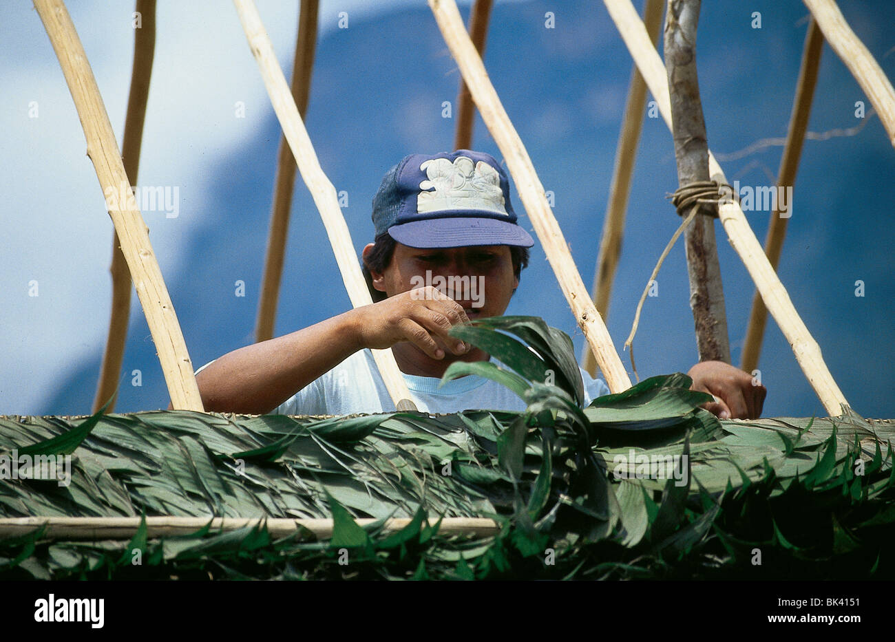 Home Builder la construction d'un toit de chaume, Venezuela Banque D'Images