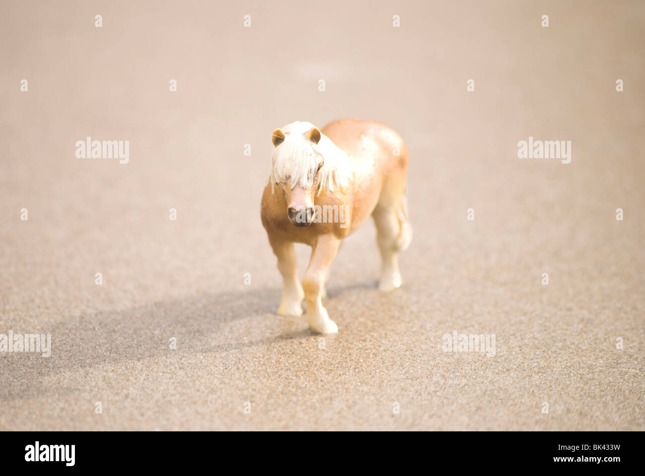 Petit cheval jouet en plastique sur la plage, le sable et les roches Banque D'Images