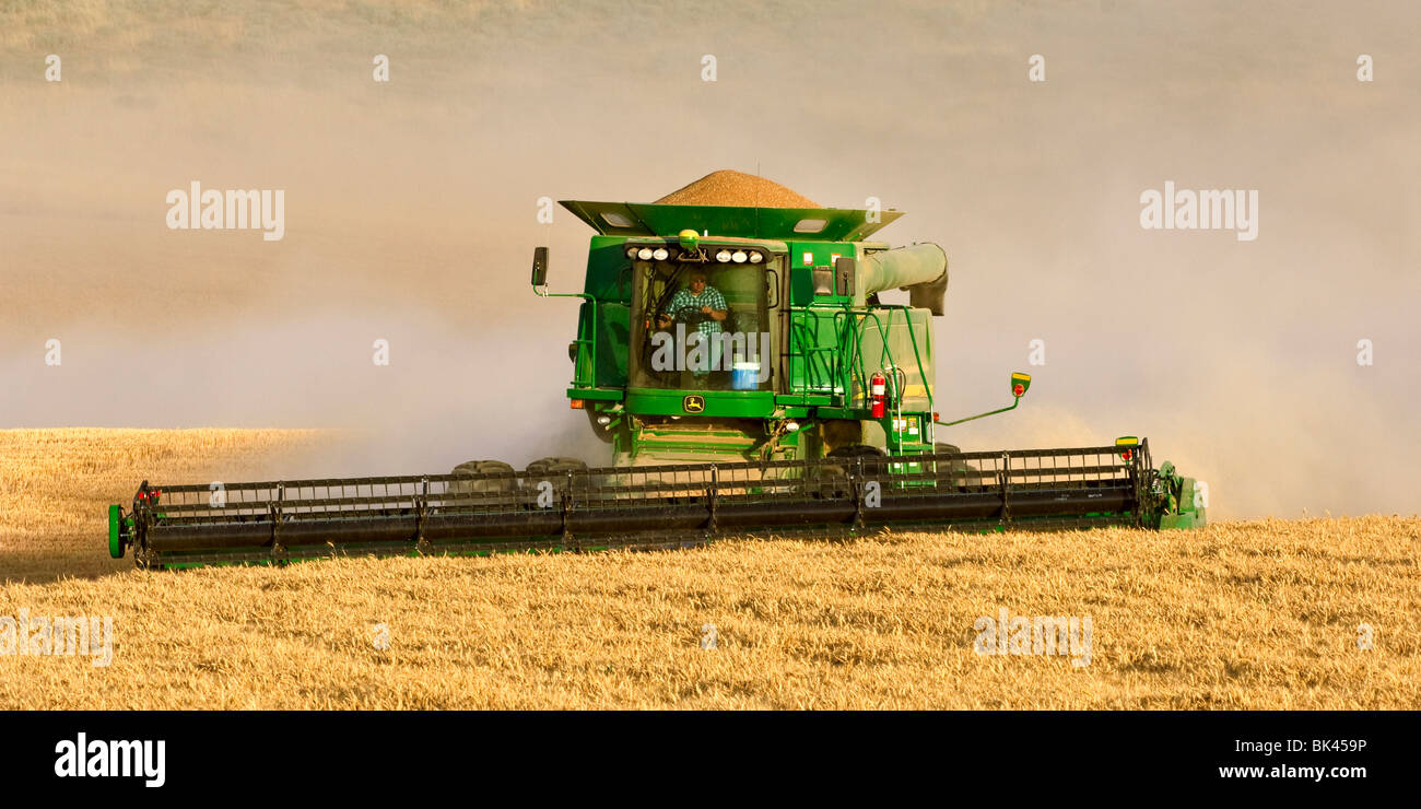 Une moissonneuse-batteuse John Deere les récoltes de blé tendre blanc au centre de l'Est de Washington Banque D'Images