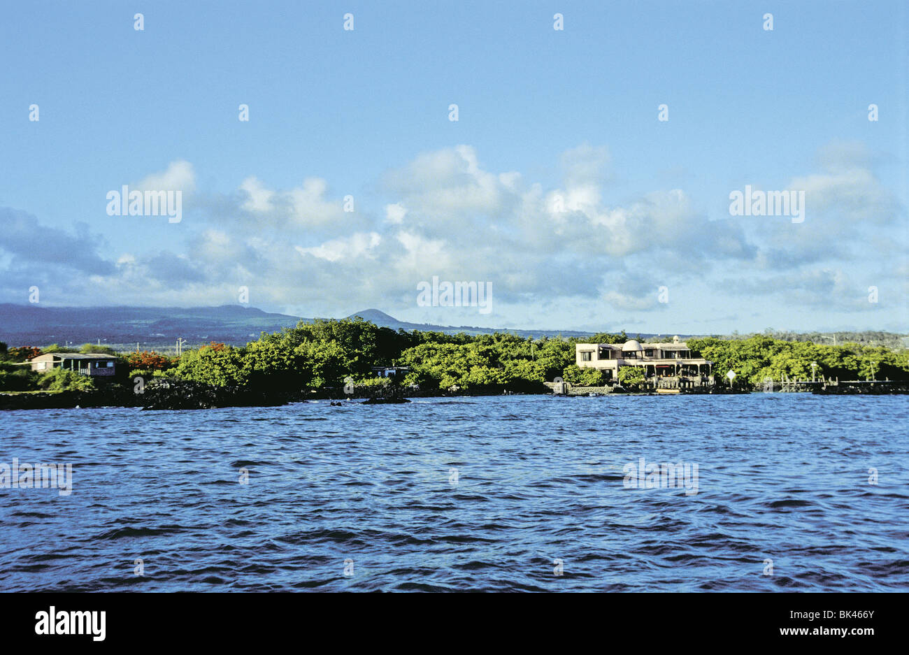 Academy Bay sur l'île de Santa Cruz, Galapagos, Equateur - (Mangrove Rouge Inn sur la droite) Banque D'Images