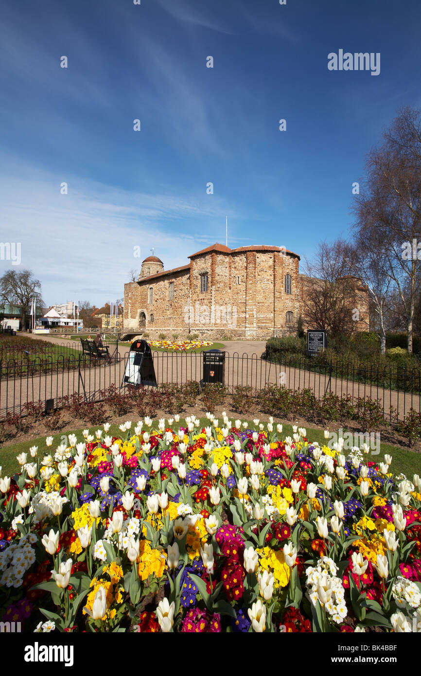 Grande-bretagne Essex Colchester Castle Park supérieur printemps tulipes Banque D'Images