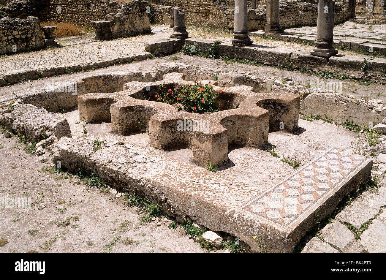 Ruines Romaines d'une toilette publique ou de latrines du le site historique de Volubilis, Maroc Banque D'Images