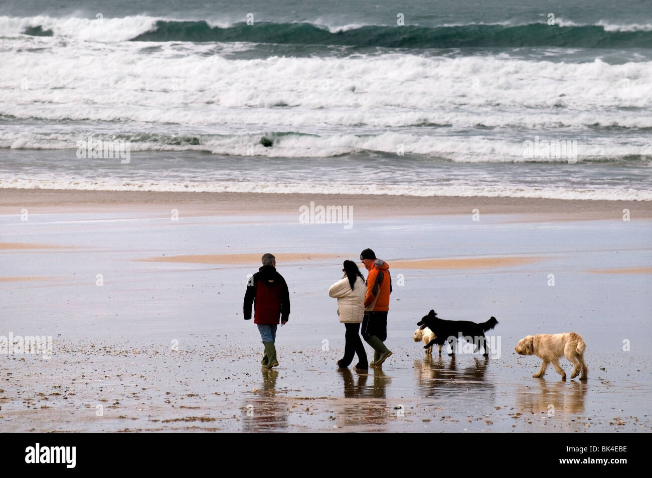Les gens promènent leurs chiens sur la plage de Fistral à Newquay en Cornouailles. Photo par Gordon 1928 Banque D'Images