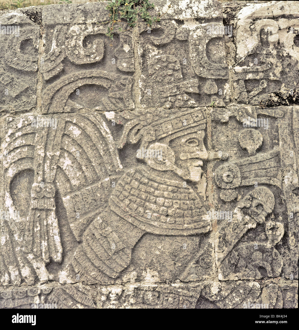 Détail d'une sculpture relief représentant un joueur de balle maya au Great Ball dans Tulum, Mexique Banque D'Images