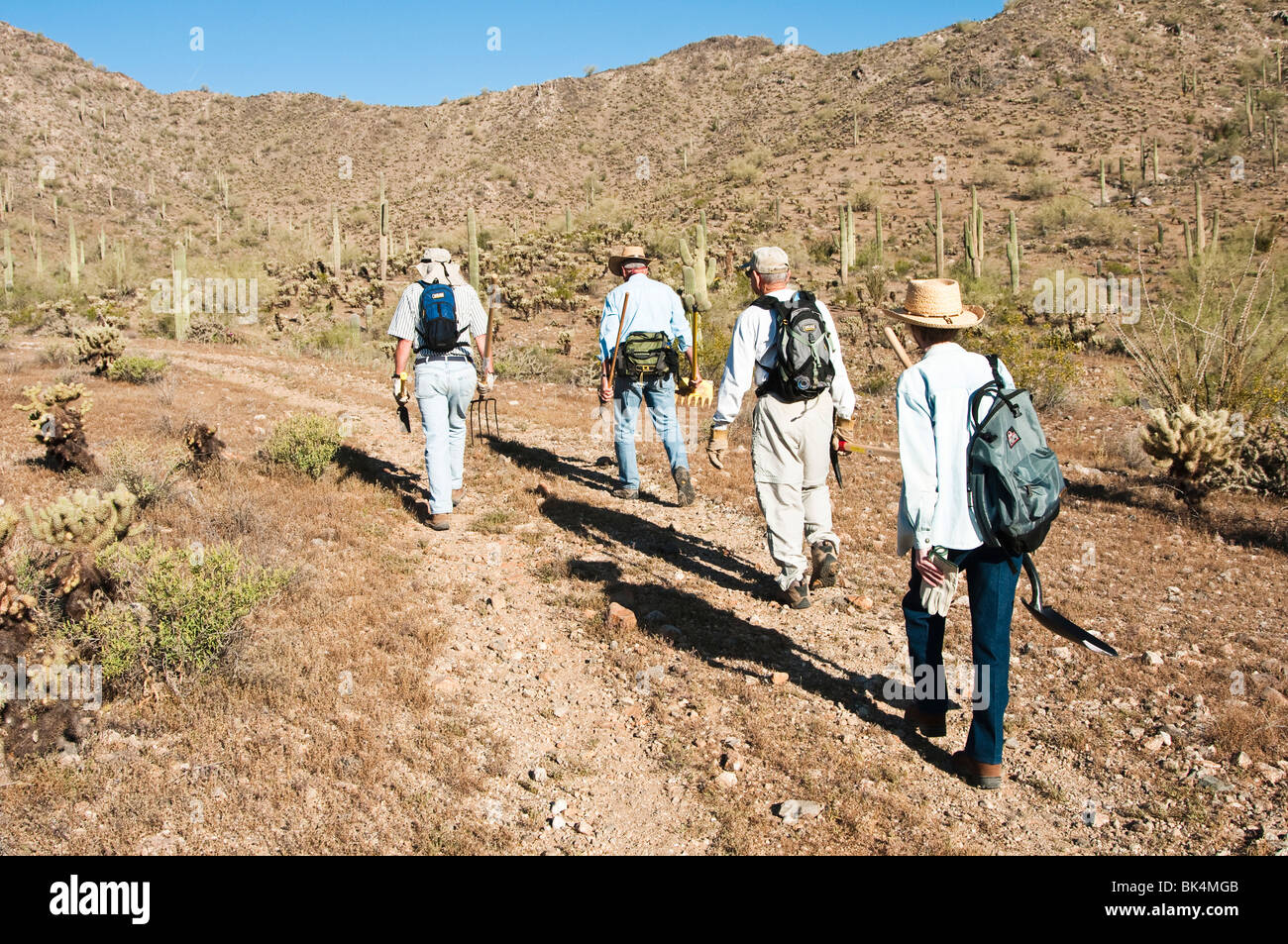 La préparation des volontaires pour construire un sentier sur Casa Grande Mountain Banque D'Images