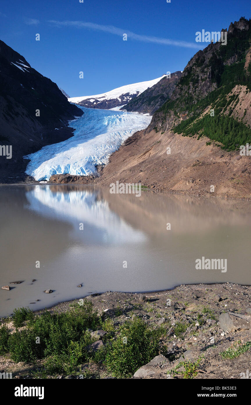 Bear Glacier, parc provincial Bear Glacier, British Columbia, Canada Banque D'Images