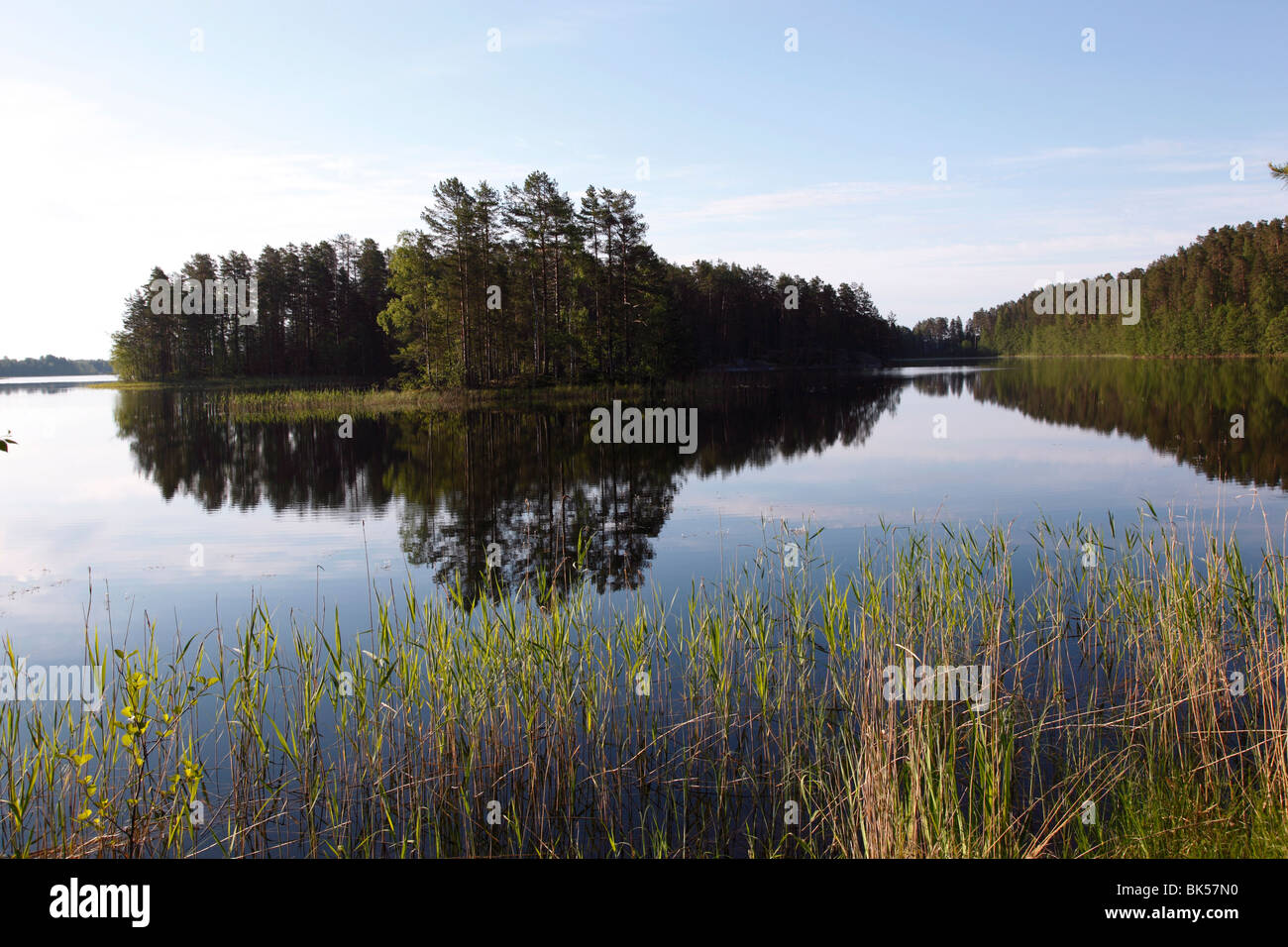 Lac Pihlajavesi, Punkaharju, réserve naturelle, le lac Saimaa, District Savonia, Finlande, Scandinavie, Europe Banque D'Images