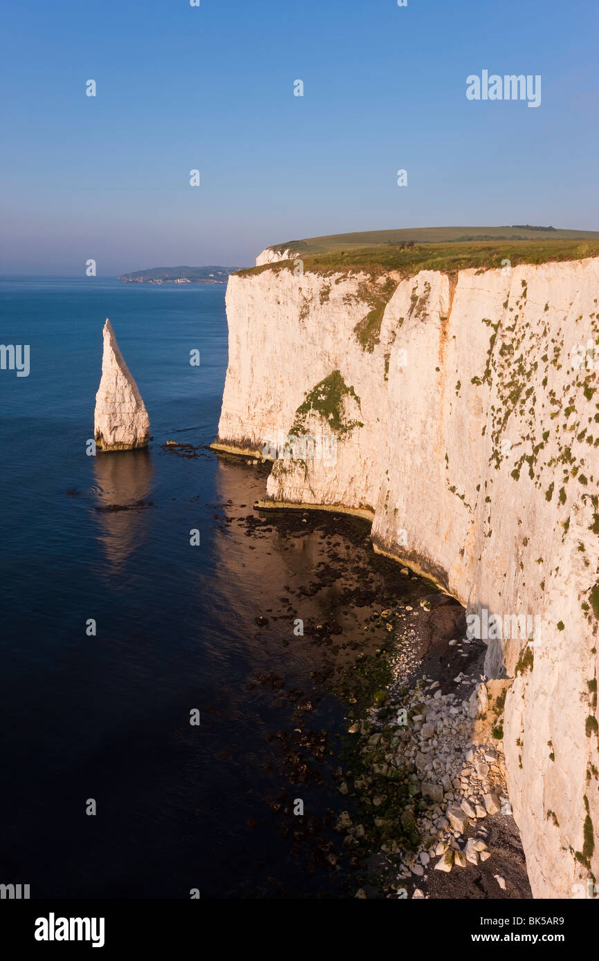 Les Pinnacles, Studland, à l'île de Purbeck, Dorset, Angleterre, Royaume-Uni, Europe Banque D'Images