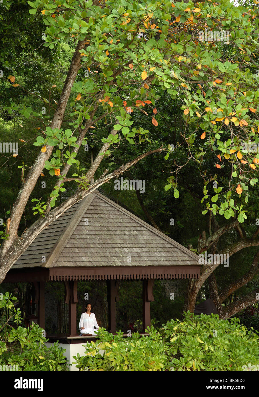 Méditation au Spa Village, Pangkor Laut Resort, Pangkor Laut, Malaisie, Asie du Sud, Asie Banque D'Images