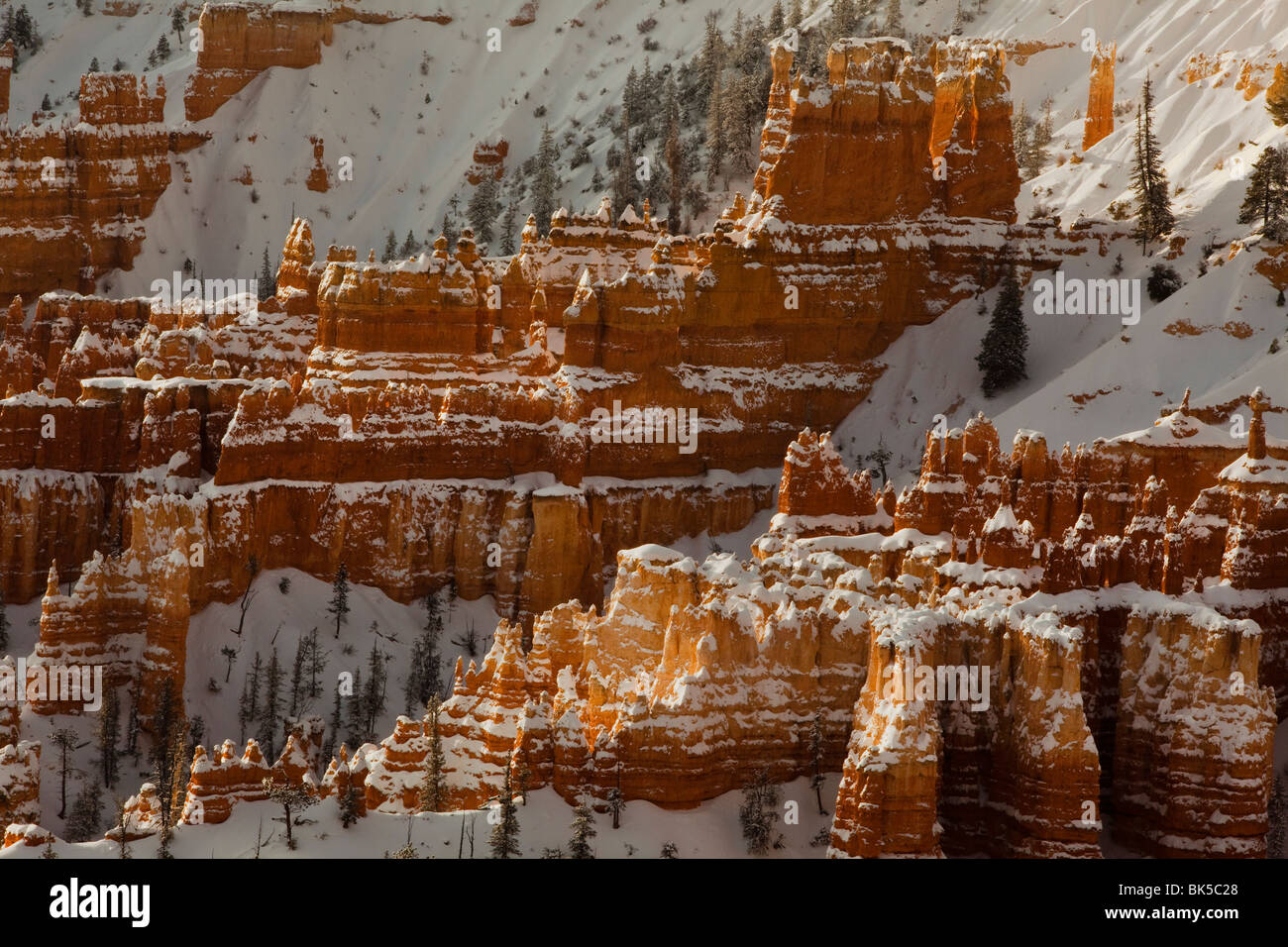 USA, Utah, le Parc National de Bryce Canyon, la neige a couvert les cheminées Banque D'Images