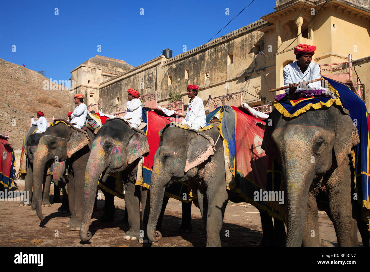 Cornacs et les éléphants, Fort Amber Palace, Jaipur, Rajasthan, Inde, Asie Banque D'Images