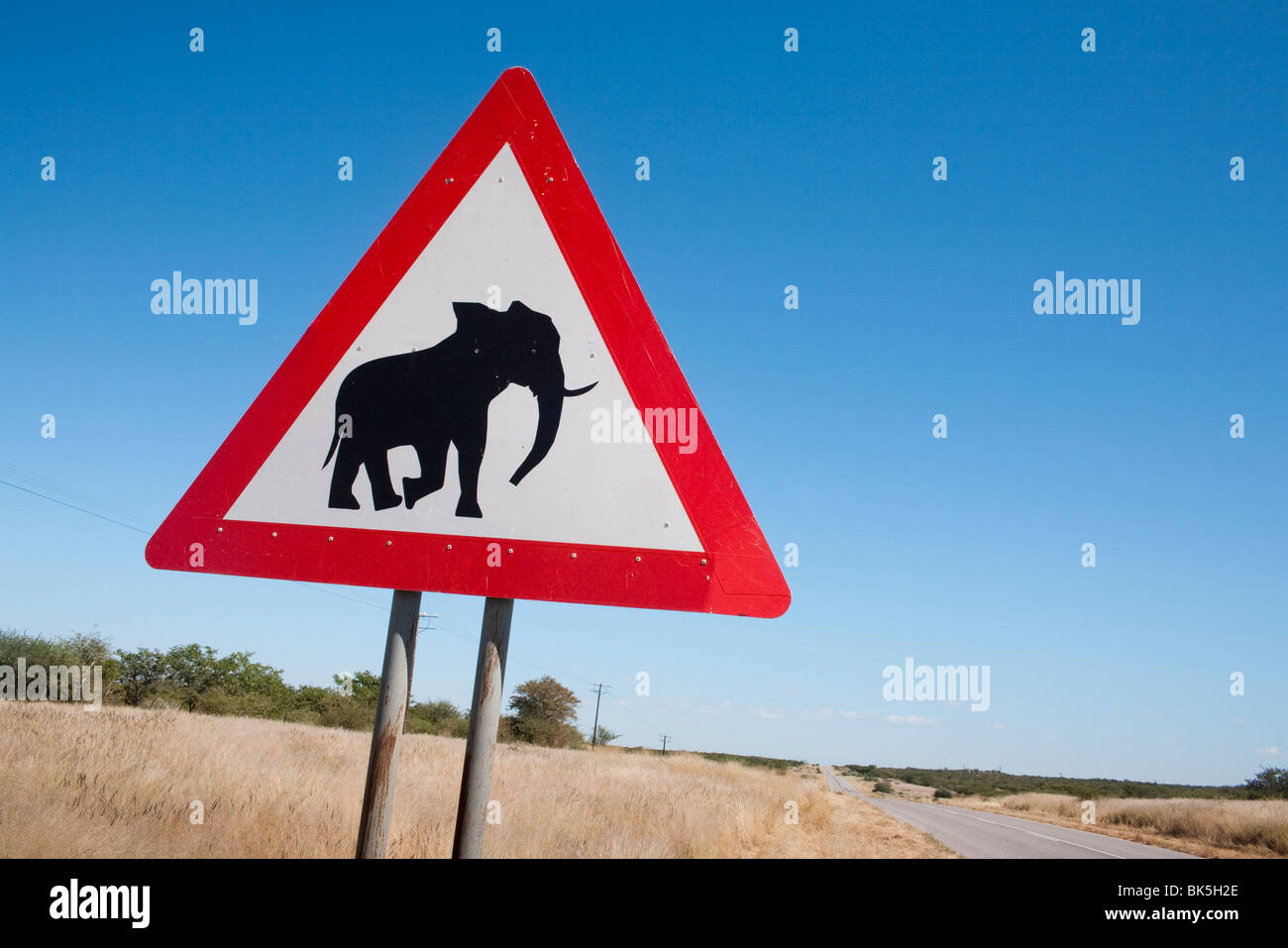 Elephant road sign, Damaraland, région de Kunene, Namibie, Afrique Banque D'Images