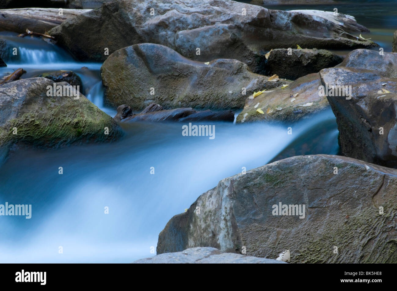 Zion National Park Utah Virgin River Banque D'Images