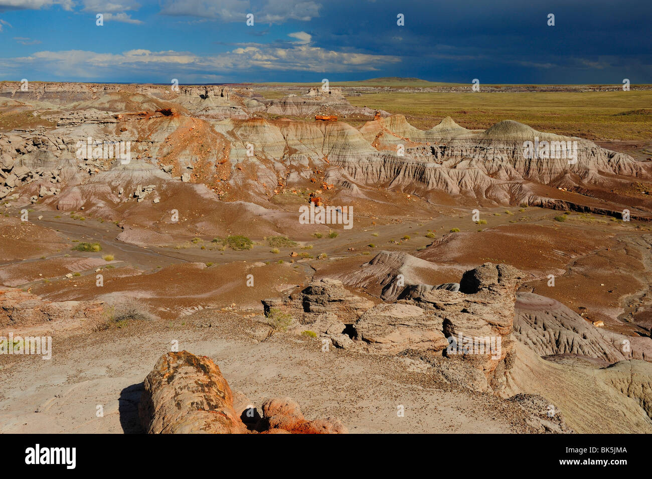 Vue panoramique sur le Parc National de la Forêt Pétrifiée, Arizona, USA Banque D'Images