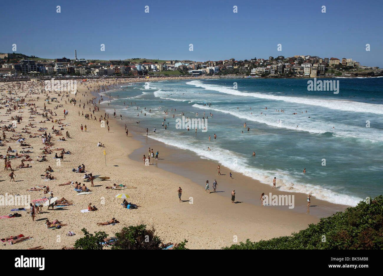 Bondi Beach, Sydney, Nouvelle-Galles du Sud, Australie, Pacifique Banque D'Images