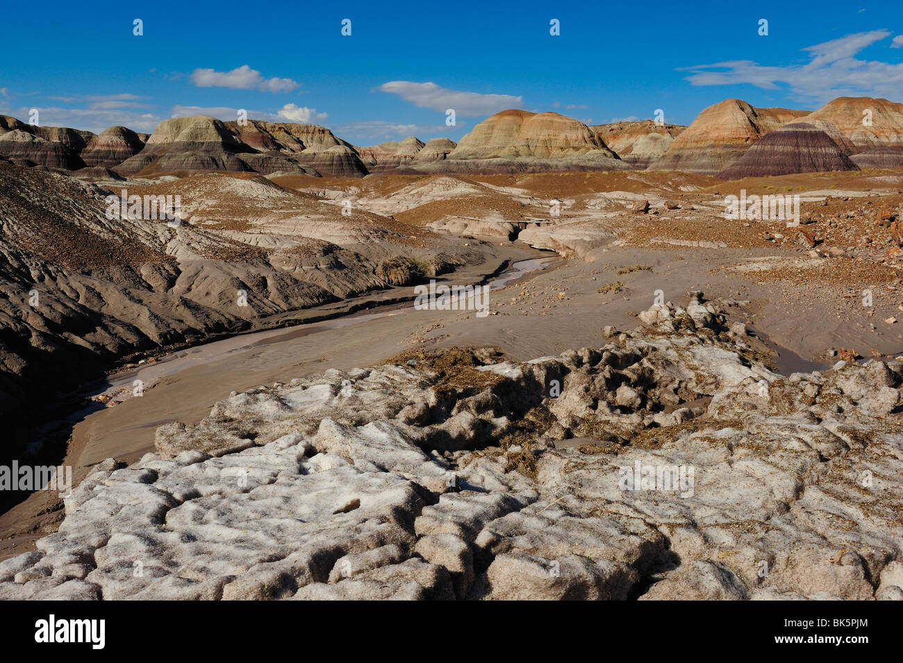 Vue panoramique sur le Parc National de la Forêt Pétrifiée, Arizona, USA Banque D'Images