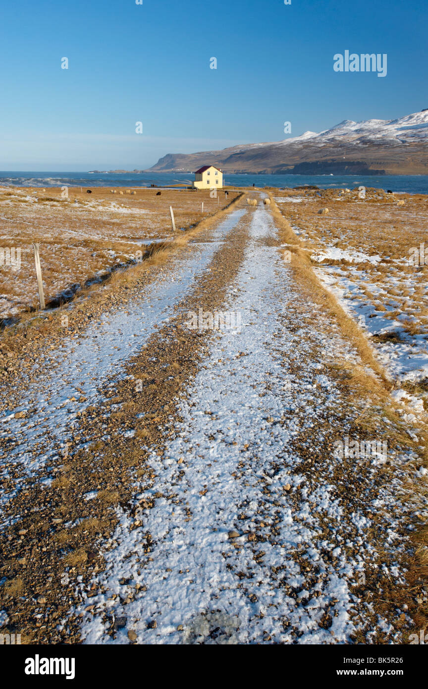 Maison Jaune à os près de Bakkagerdi dans Borgarfjordur Eystri fjord, Fjords de l'Est, l'Islande, les régions polaires Banque D'Images