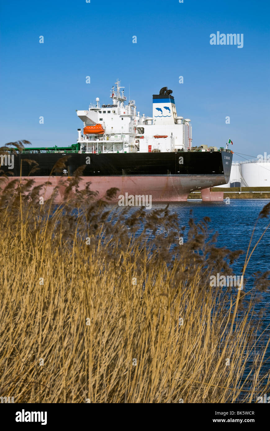 Cargo dans le port d'Amsterdam, Pays-Bas Banque D'Images