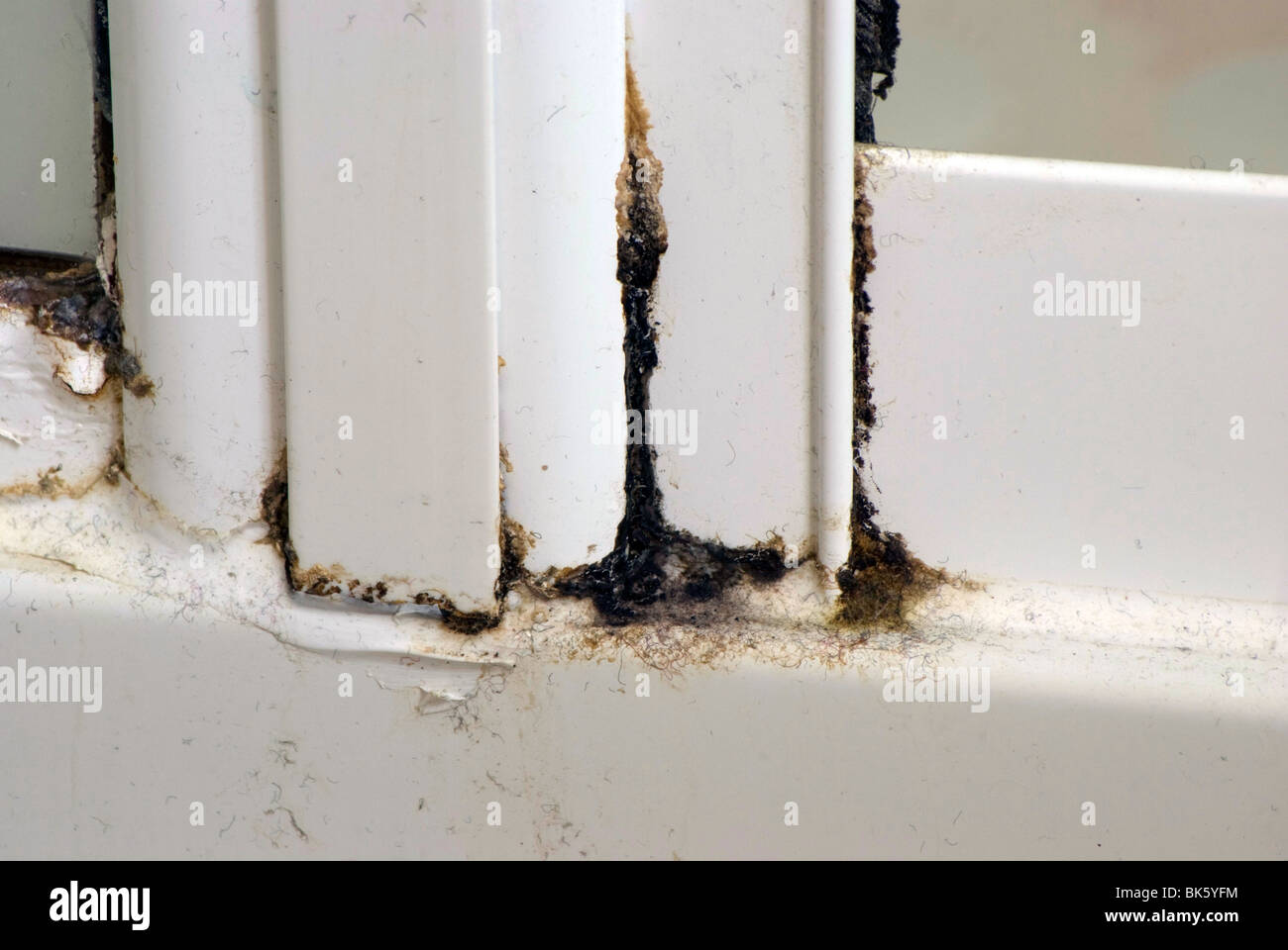 La moisissure autour de la porte d'une cabine de douche Photo Stock - Alamy