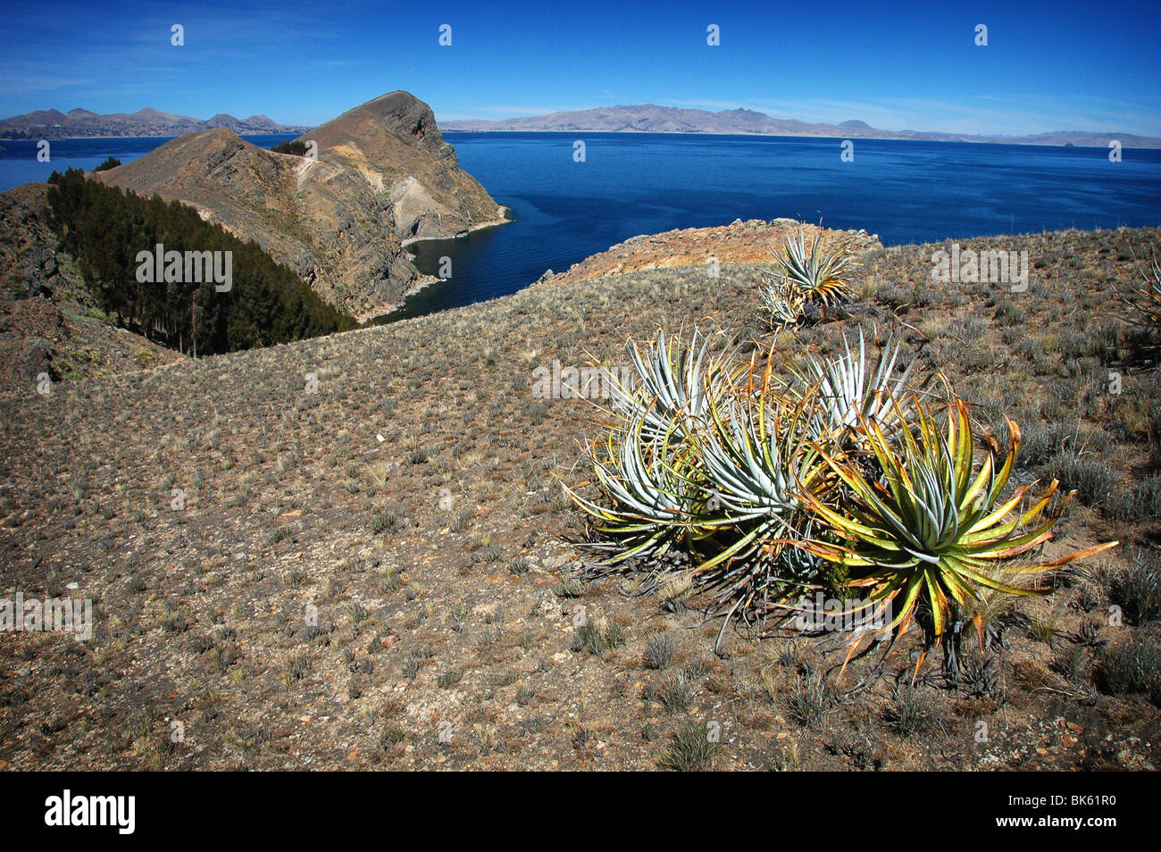 Le lac Titicaca, en Bolivie Banque D'Images